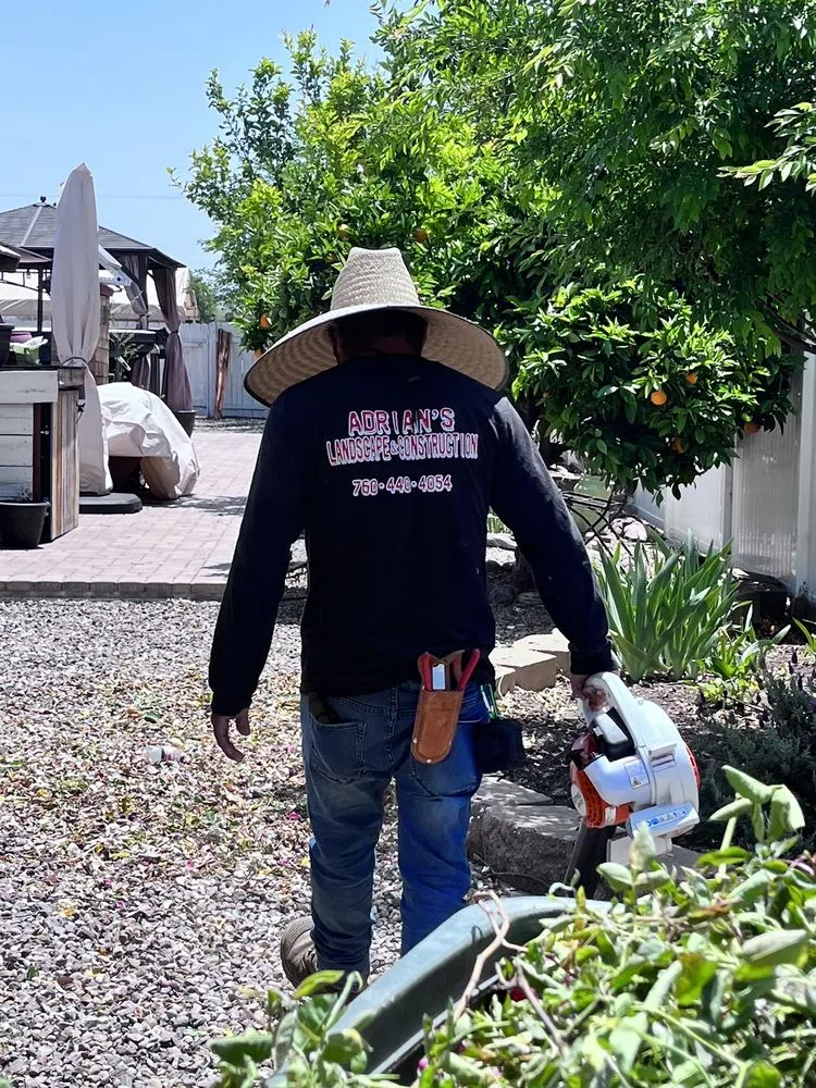 Custom yard cleanup service for year-round maintenance across Ramona, CA - Adrian's Landscape