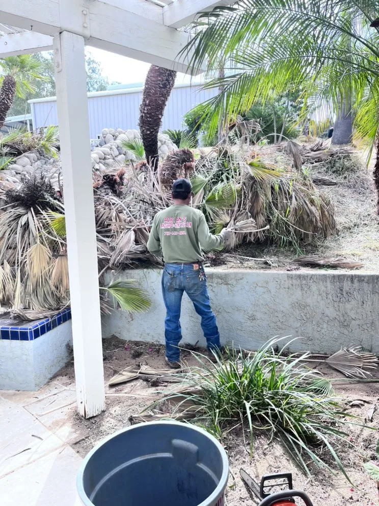 Custom lawn mowing service in Ramona, CA by Adrian's Landscape