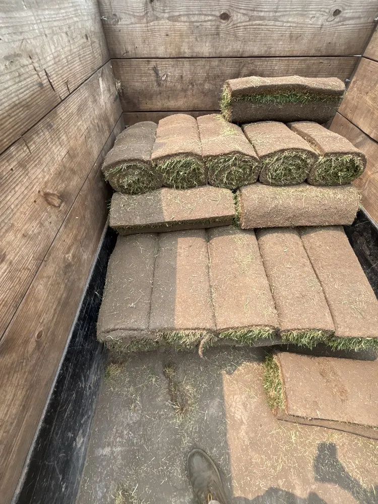 Top-rated landscaping services in Chicago, IL - Adrian’s Landscaping