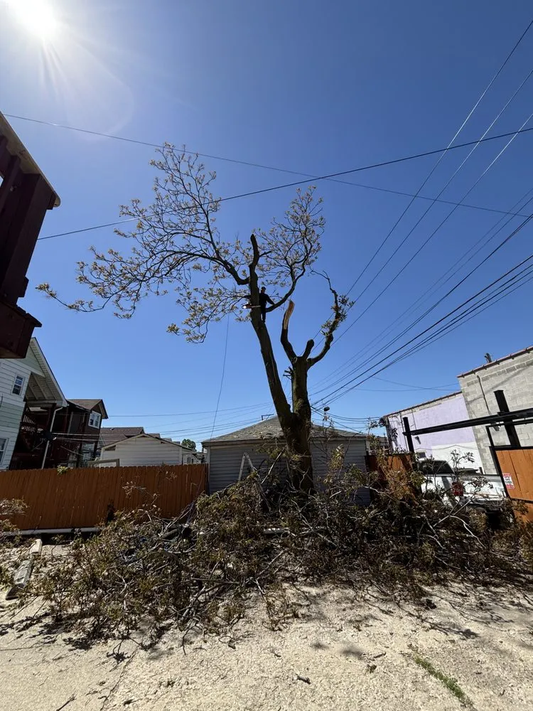 Expert lawn care service in Chicago, IL - Adrian’s Landscaping