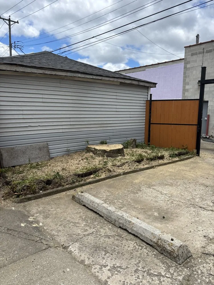 Trusted lawn care service experts serving Chicago, IL - Adrian’s Landscaping