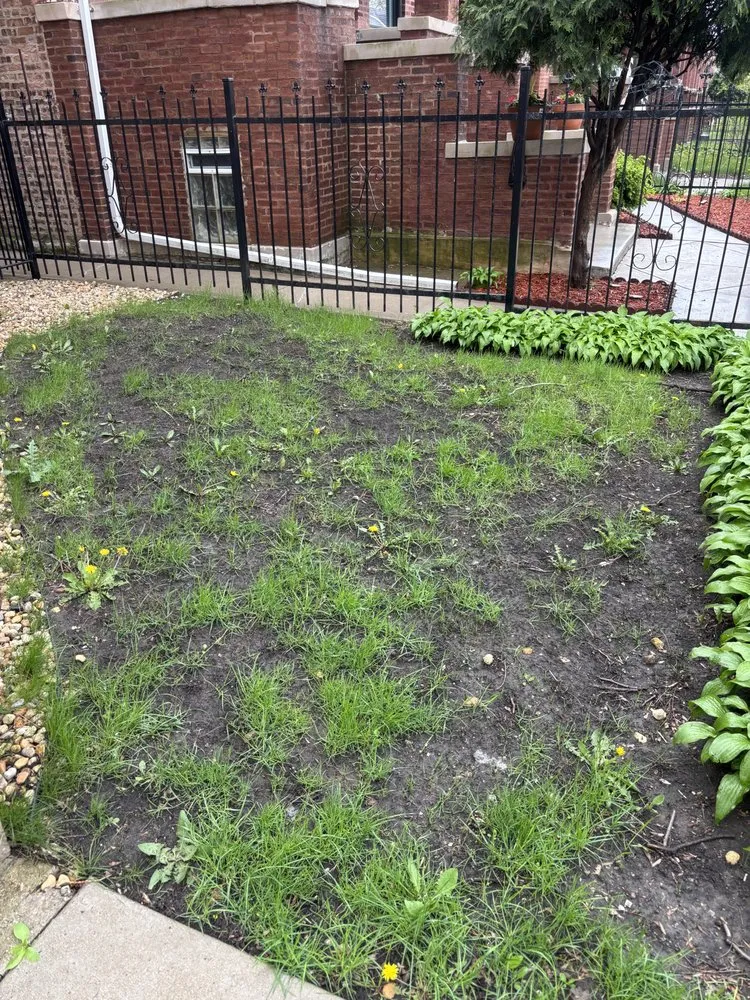 Trusted landscaping services experts serving Chicago, IL - Adrian’s Landscaping