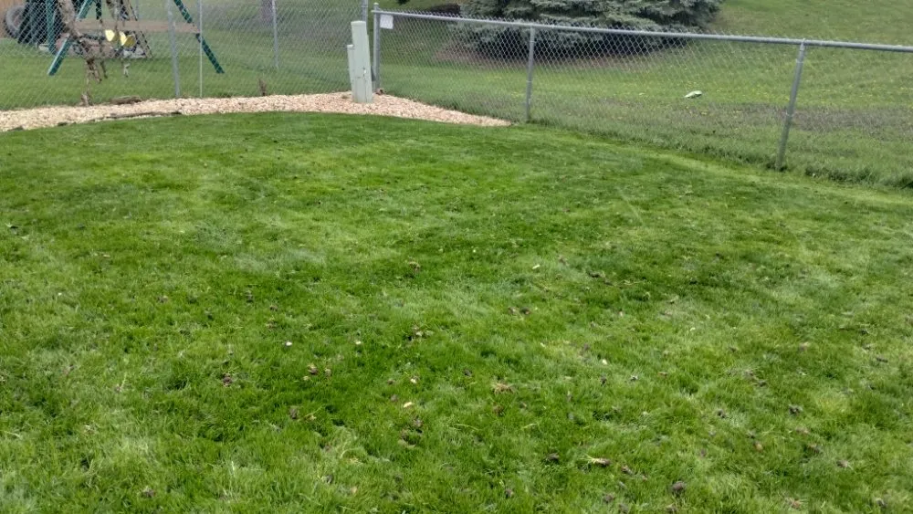 Professional landscape design in Glen Ellyn, IL by Adrian's Landscaping