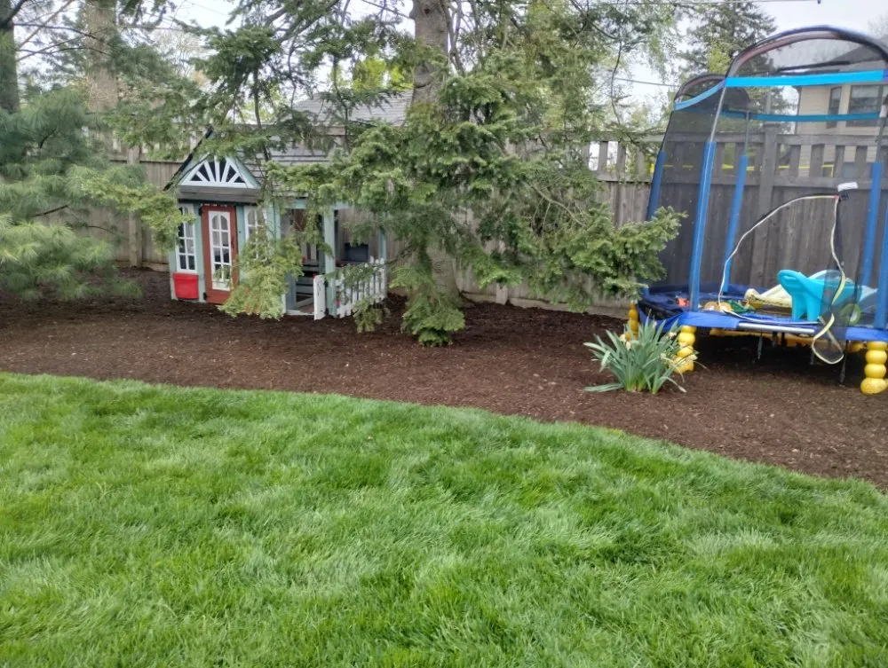 Professional yard maintenance for beautiful yards across Glen Ellyn, IL - Adrian's Landscaping