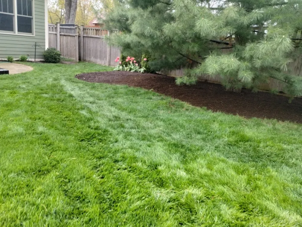 Trusted landscaping services in Glen Ellyn, IL by Adrian's Landscaping