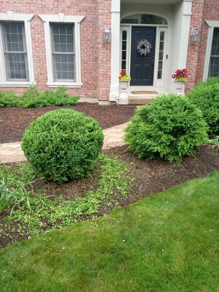 Reliable lawn mowing service experts serving Glen Ellyn, IL - Adrian's Landscaping