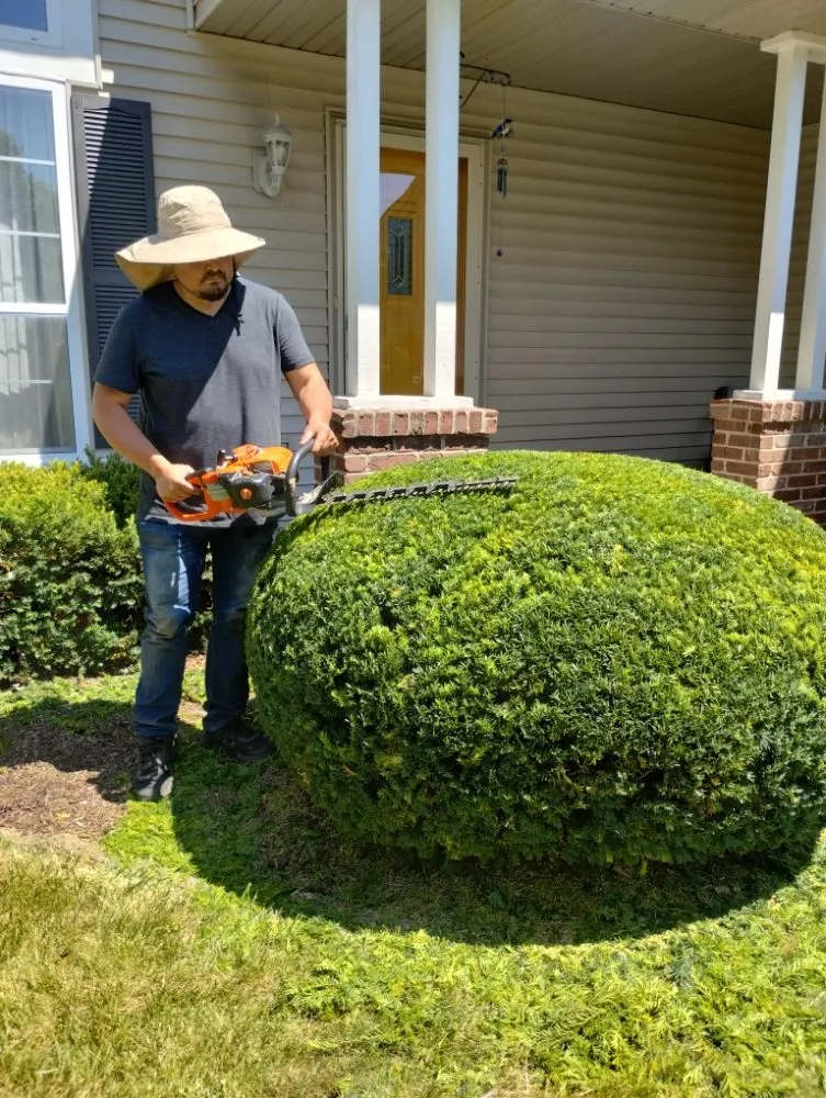 Top-rated lawn mowing service in Glen Ellyn, IL by Adrian's Landscaping