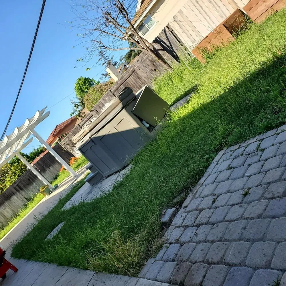 Top-rated landscaping services experts serving Oxnard, CA - Adrians Landscaping