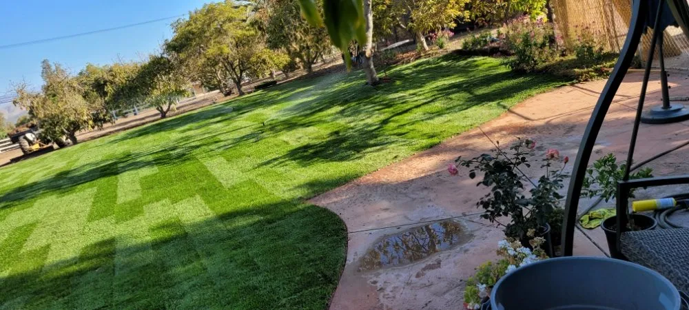 Reliable garden landscaping for year-round maintenance across Oxnard, CA - Adrians Landscaping