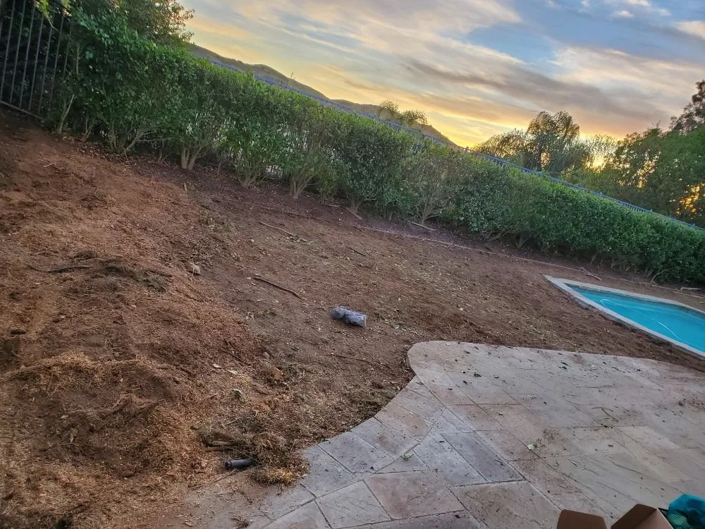 Local residential landscaping in Oxnard, CA by Adrians Landscaping