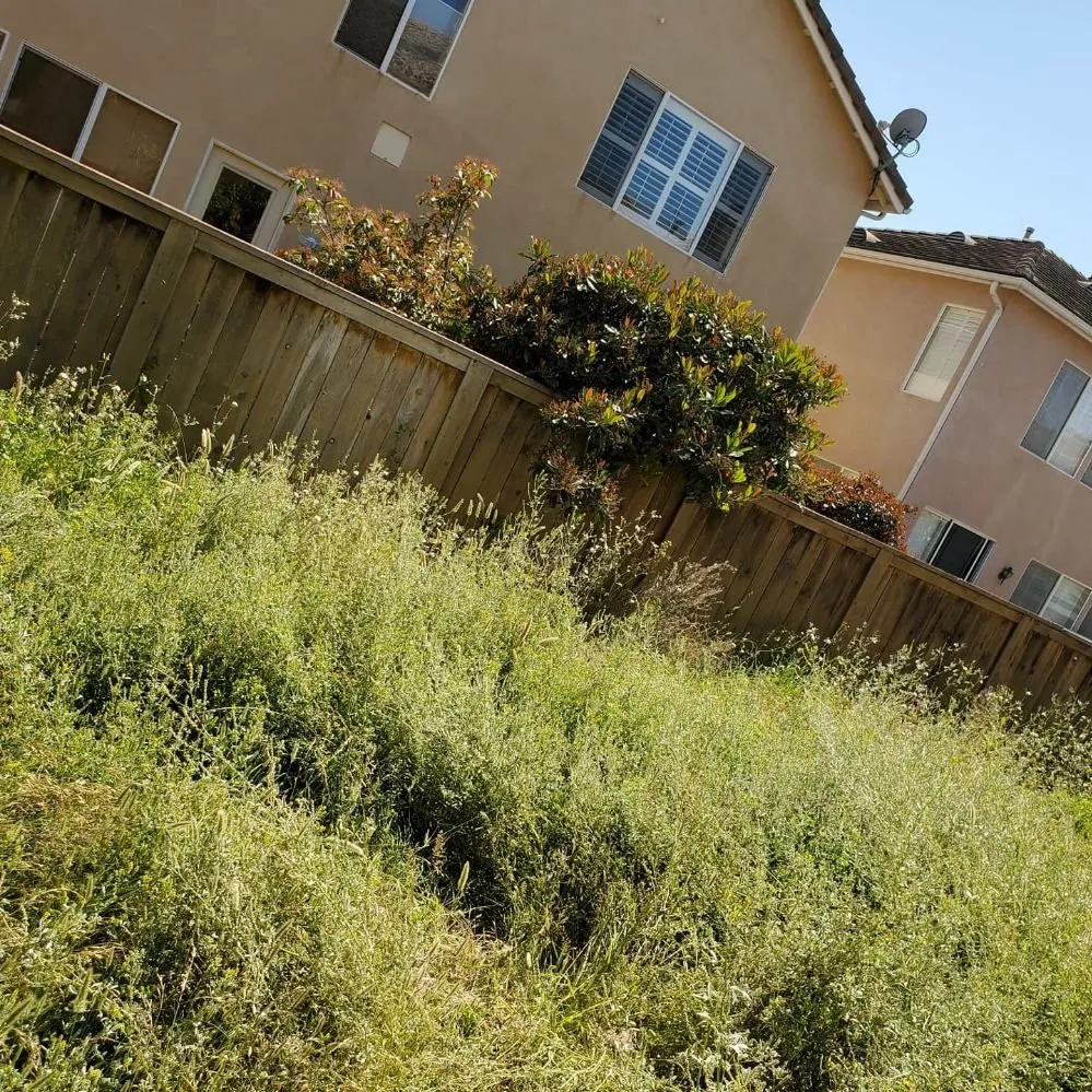 Trusted landscaping services for beautiful yards in Oxnard, CA by Adrians Landscaping