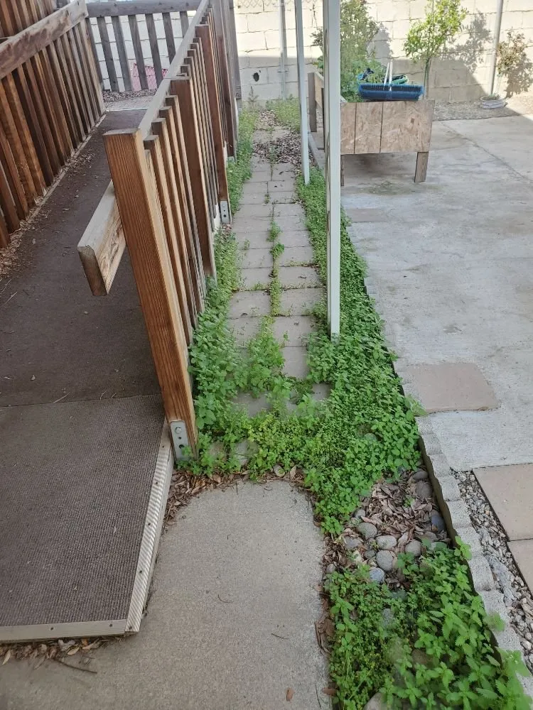 Expert lawn care service for outdoor upgrades across Oxnard, CA - Adrians Landscaping