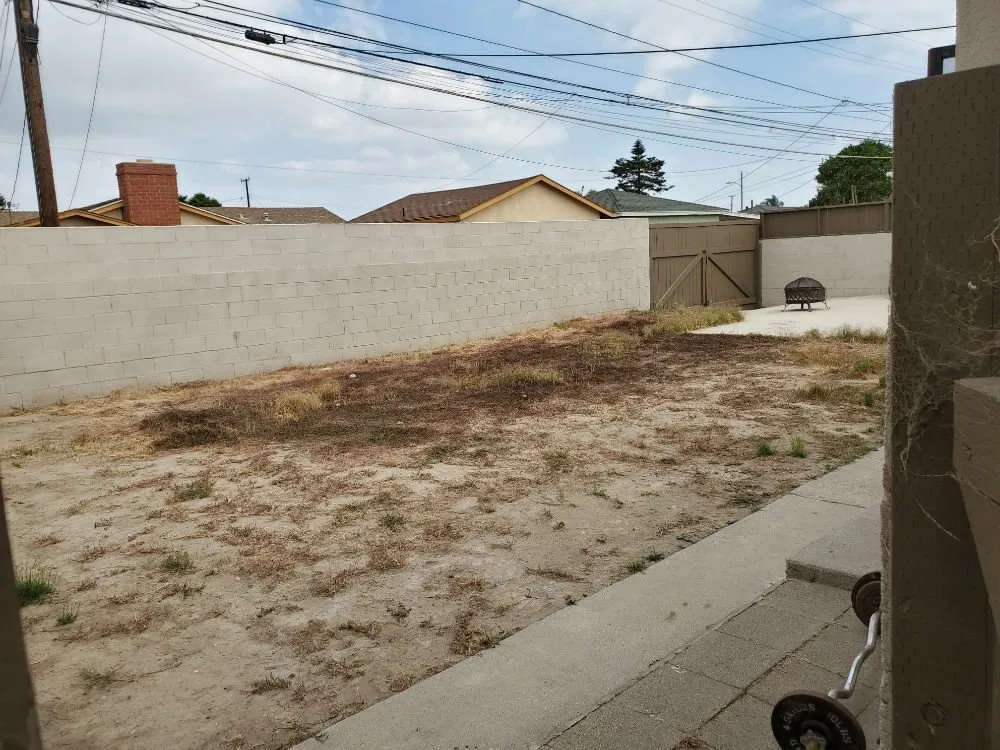 Local landscape installation for year-round maintenance in Oxnard, CA by Adrians Landscaping