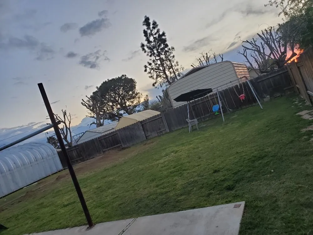 Trusted yard cleanup service for residential properties across Oxnard, CA - Adrians Landscaping