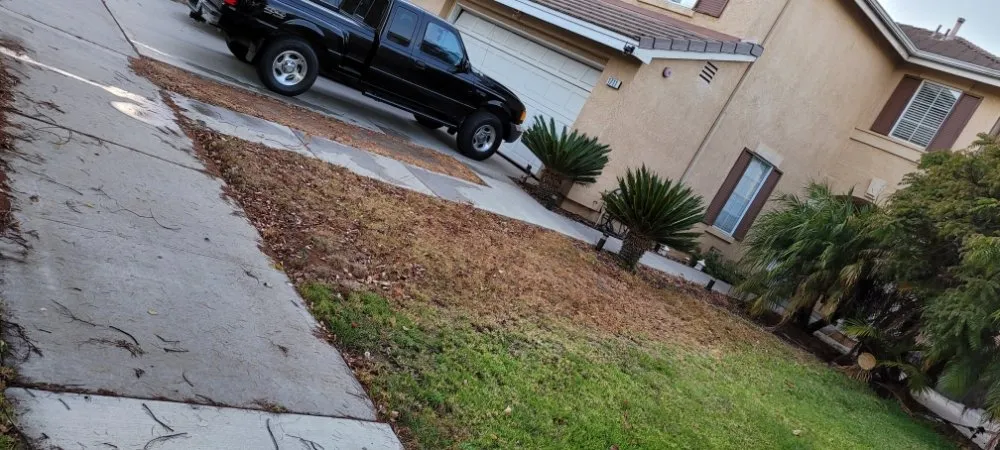 Affordable landscape installation for beautiful yards across Oxnard, CA - Adrians Landscaping