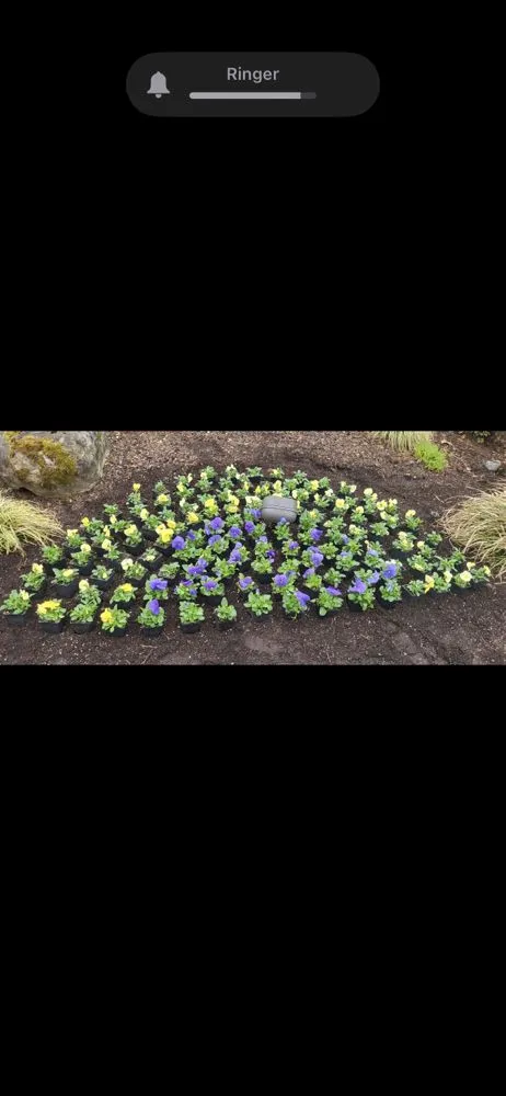 Trusted garden landscaping with custom design across Federal Way, WA - Adrian’s Lanscaping