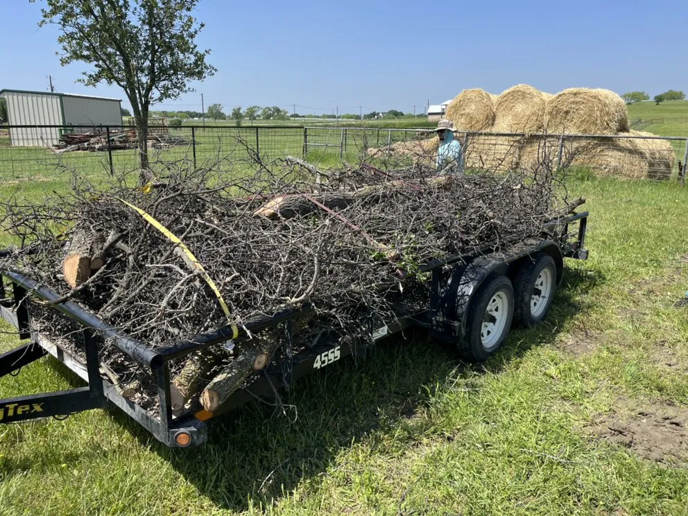 Top-rated landscape design with custom design across Princeton, TX - Adrian's Lawn Guys