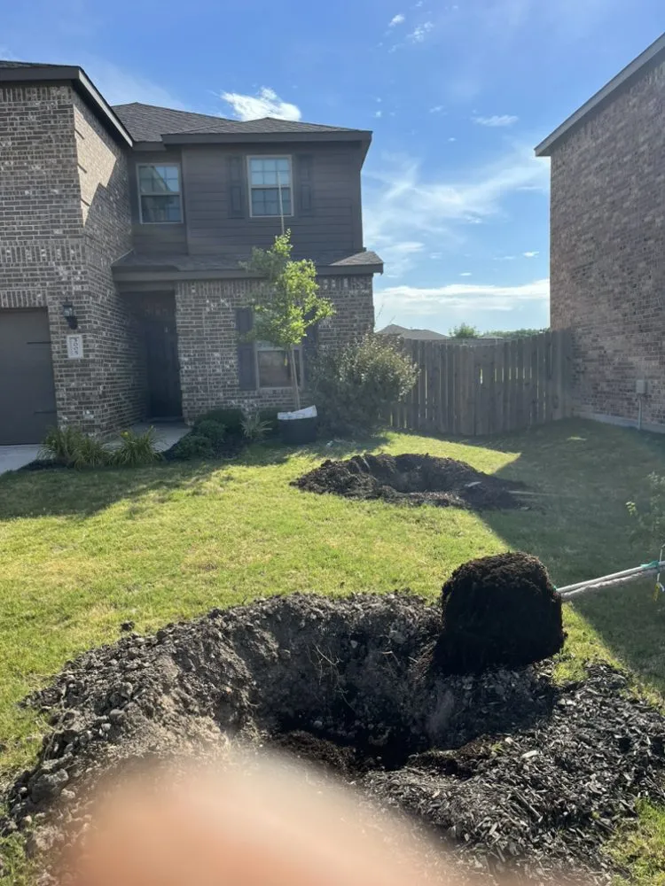 Top-rated yard maintenance in Princeton, TX by Adrian's Lawn Guys