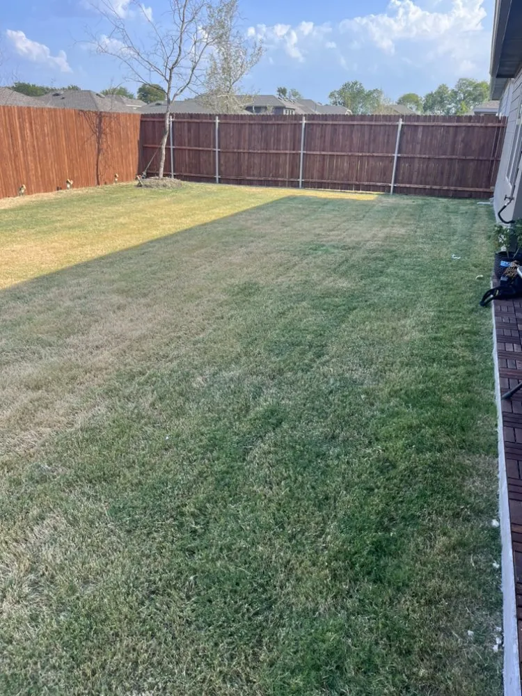 Affordable lawn care service experts serving Princeton, TX - Adrian's Lawn Guys