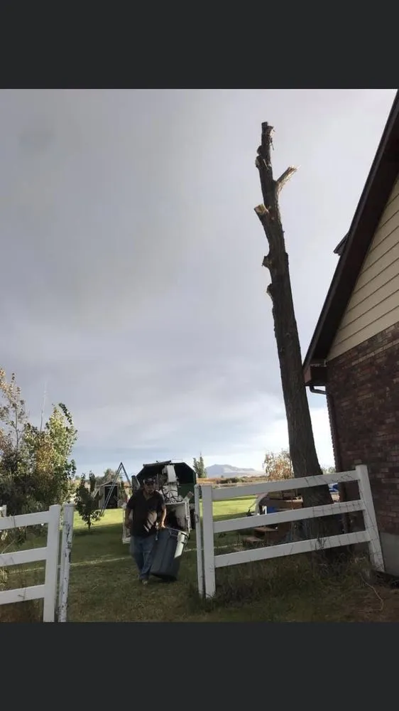 Trusted landscape design near you across West Point, UT - Adrian's Tree and Landscape Services