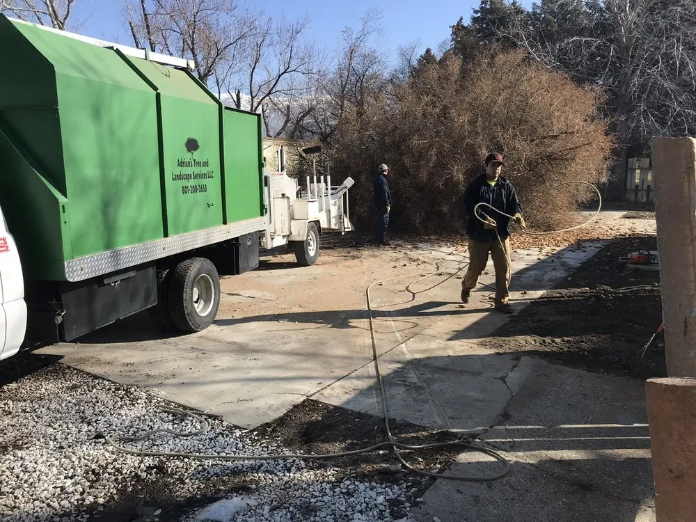 Local landscape design in West Point, UT - Adrian's Tree and Landscape Services
