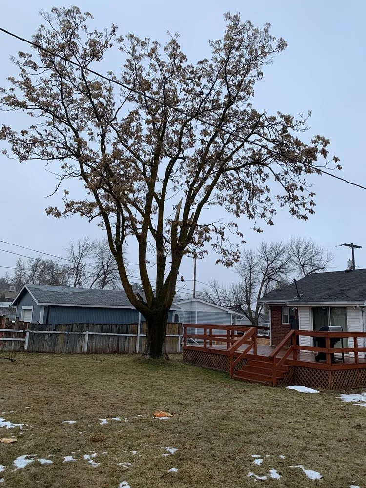 Affordable garden landscaping in West Point, UT by Adrian's Tree and Landscape Services