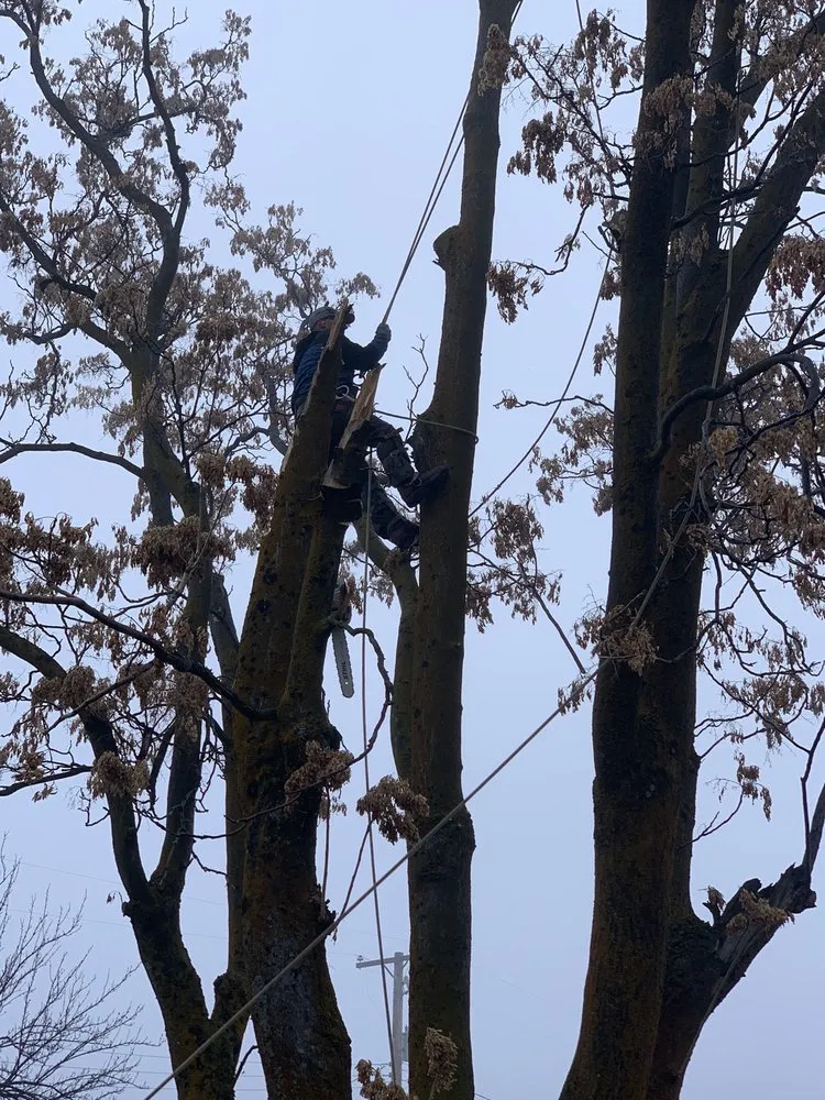 Local landscape installation with custom design across West Point, UT - Adrian's Tree and Landscape Services