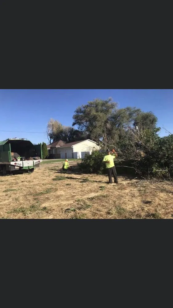 Professional lawn care service for homes across West Point, UT - Adrian's Tree and Landscape Services