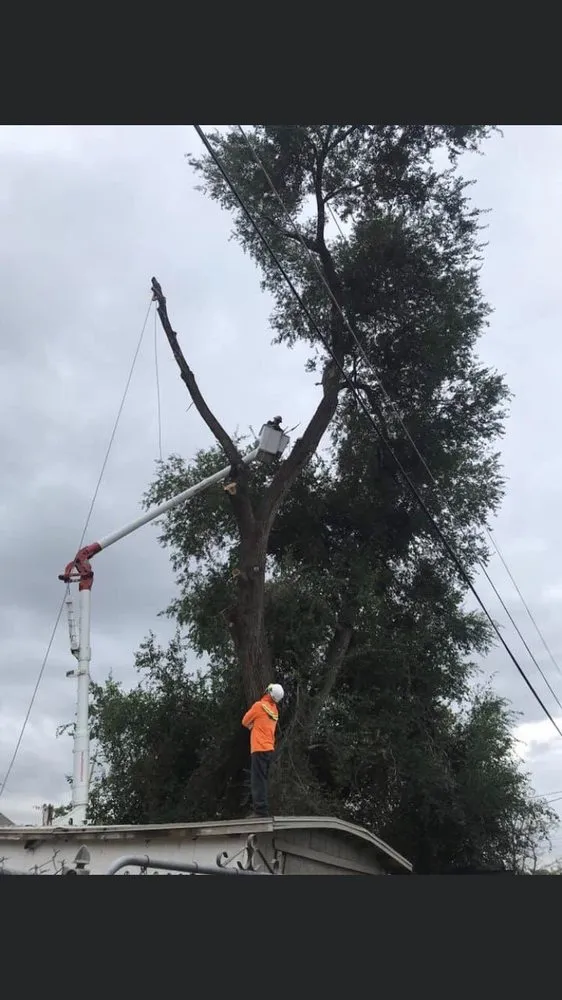 Expert outdoor landscaping for outdoor upgrades in West Point, UT by Adrian's Tree and Landscape Services