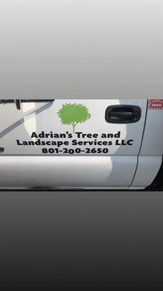 Affordable lawn mowing service experts serving West Point, UT - Adrian's Tree and Landscape Services