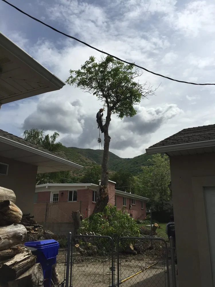 Reliable garden landscaping for residential properties in West Point, UT by Adrian's Tree and Landscape Services