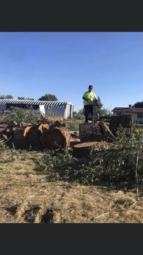 Expert yard cleanup service for residential properties across West Point, UT - Adrian's Tree and Landscape Services