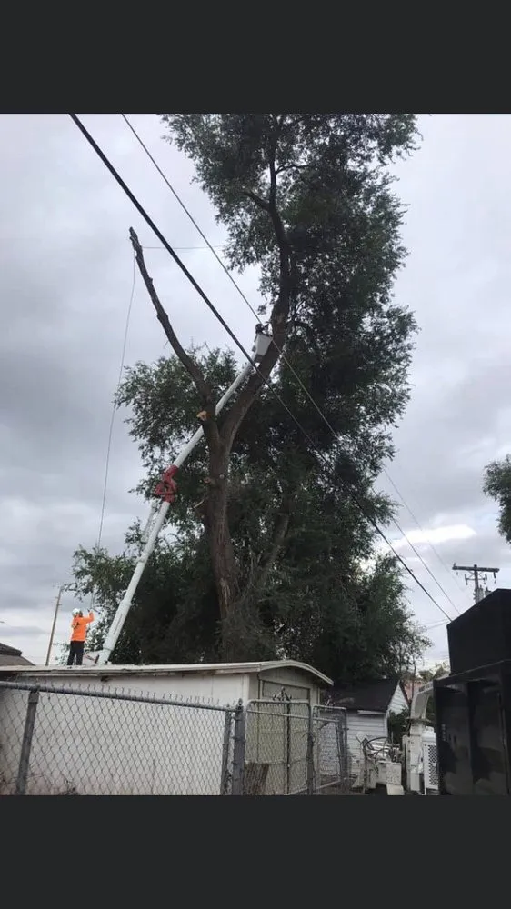 Trusted garden landscaping in West Point, UT by Adrian's Tree and Landscape Services