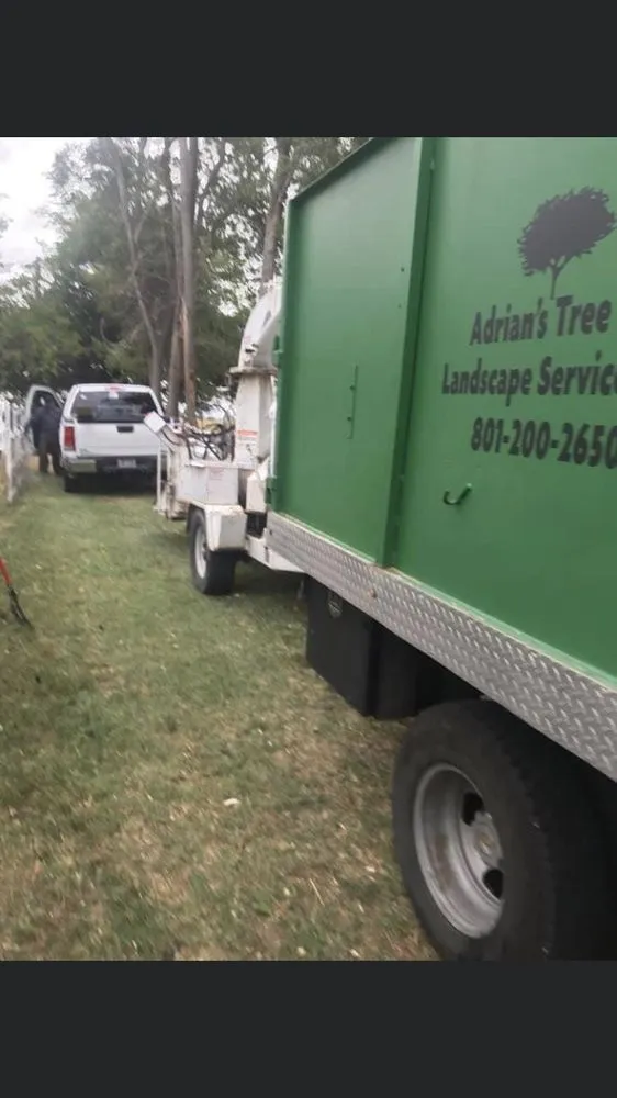Custom landscape installation for outdoor upgrades across West Point, UT - Adrian's Tree and Landscape Services