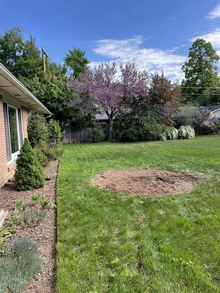 Top-rated landscape installation in West Point, UT - Adrian's Tree and Landscape Services