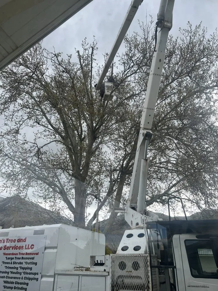 Professional residential landscaping in West Point, UT by Adrian's Tree and Landscape Services