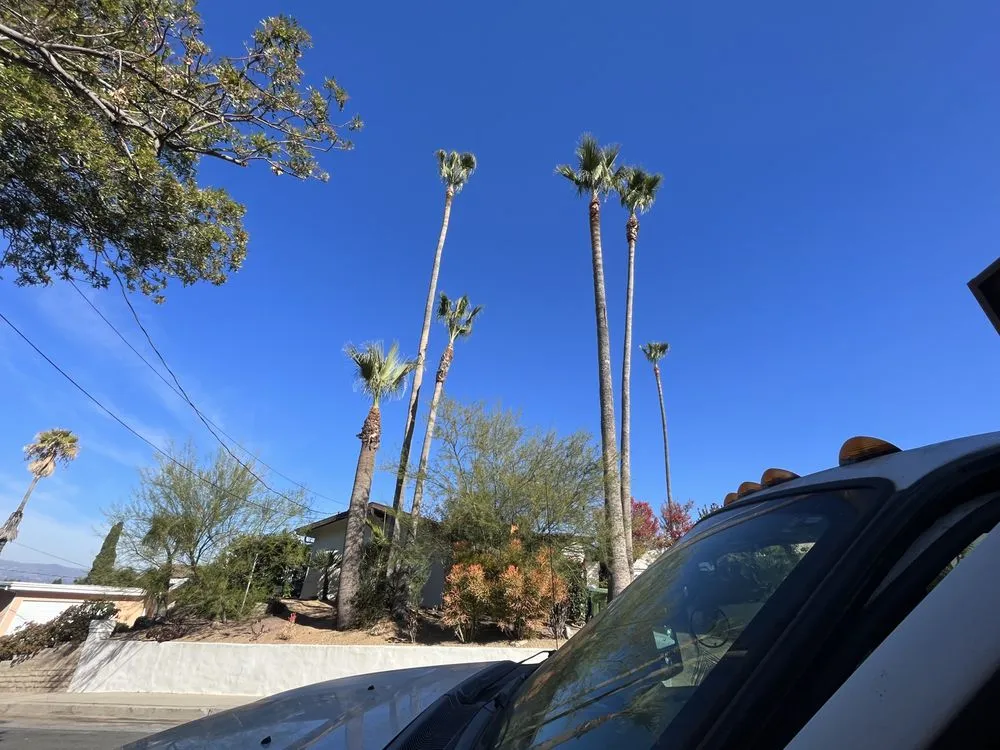 Professional landscape design experts serving San Fernando Valley, CA - Adrian’s Tree service & landscaping