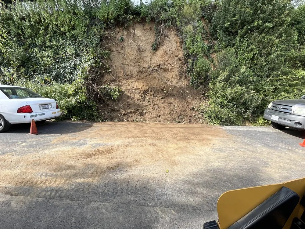 Professional lawn care service in San Fernando Valley, CA by Adrian’s Tree service & landscaping