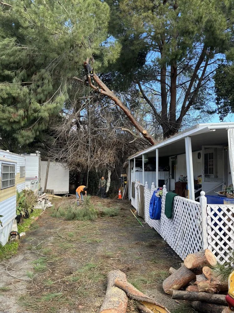 Expert lawn mowing service with custom design in San Fernando Valley, CA by Adrian’s Tree service & landscaping