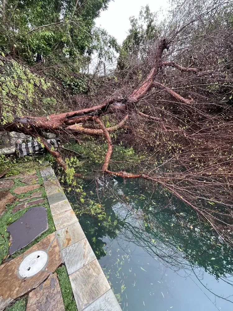 Custom landscape design for beautiful yards across San Fernando Valley, CA - Adrian’s Tree service & landscaping