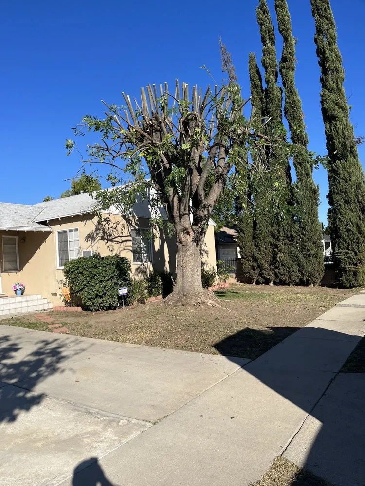 Expert lawn mowing service in San Fernando Valley, CA - Adrian’s Tree service & landscaping