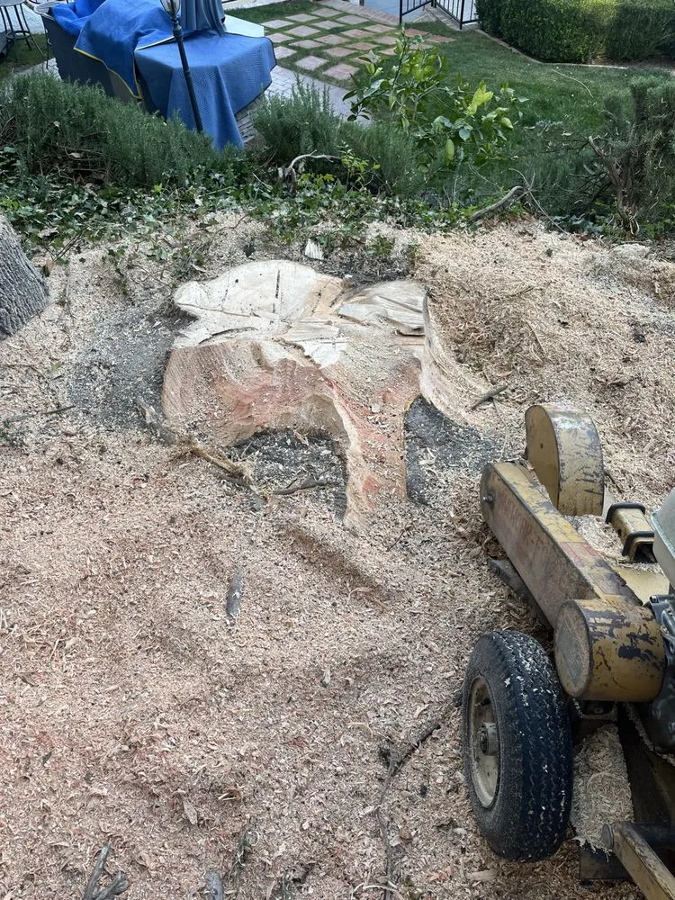 Custom yard maintenance in San Fernando Valley, CA - Adrian’s Tree service & landscaping