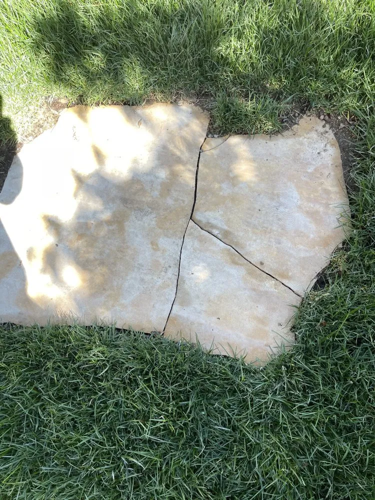 Professional yard maintenance for year-round maintenance across San Fernando Valley, CA - Adrian’s Tree service & landscaping