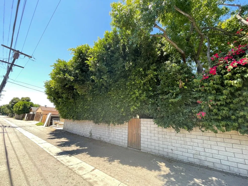 Expert yard cleanup service in San Fernando Valley, CA - Adrian’s Tree service & landscaping