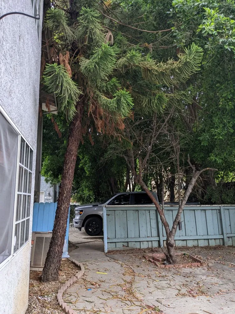 Professional landscape design with custom design across San Fernando Valley, CA - Adrian’s Tree service & landscaping