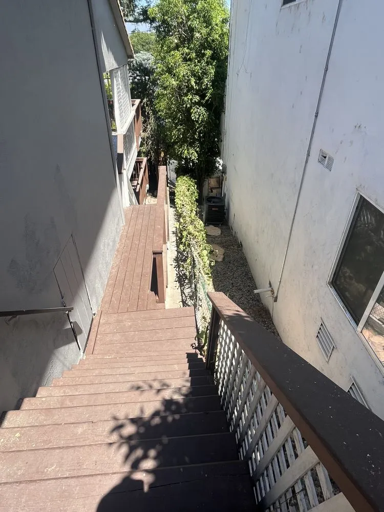 Custom yard cleanup service for year-round maintenance in San Fernando Valley, CA by Adrian’s Tree service & landscaping