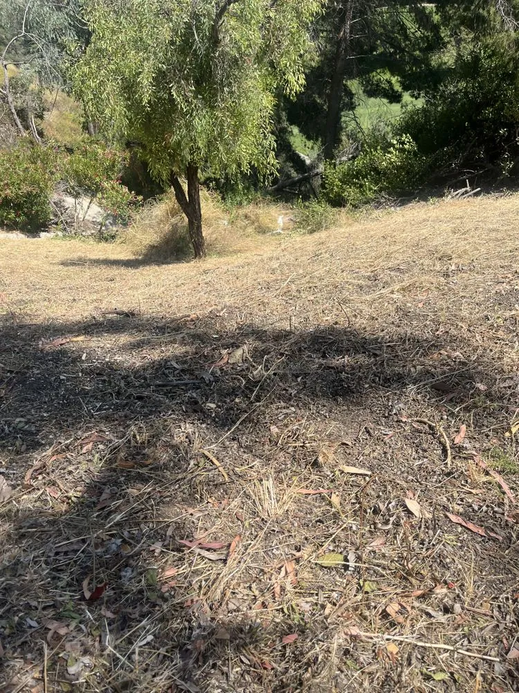 Trusted garden landscaping in San Fernando Valley, CA by Adrian’s Tree service & landscaping