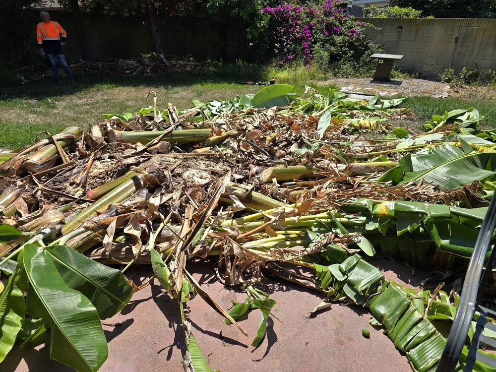 Professional outdoor landscaping with custom design in Long Beach, CA by Adrian's Tree Service