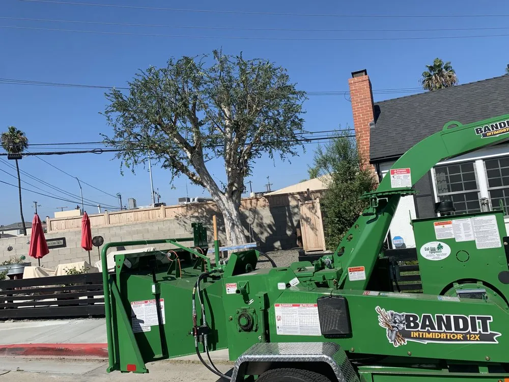 Expert garden landscaping near you in Long Beach, CA by Adrian's Tree Service