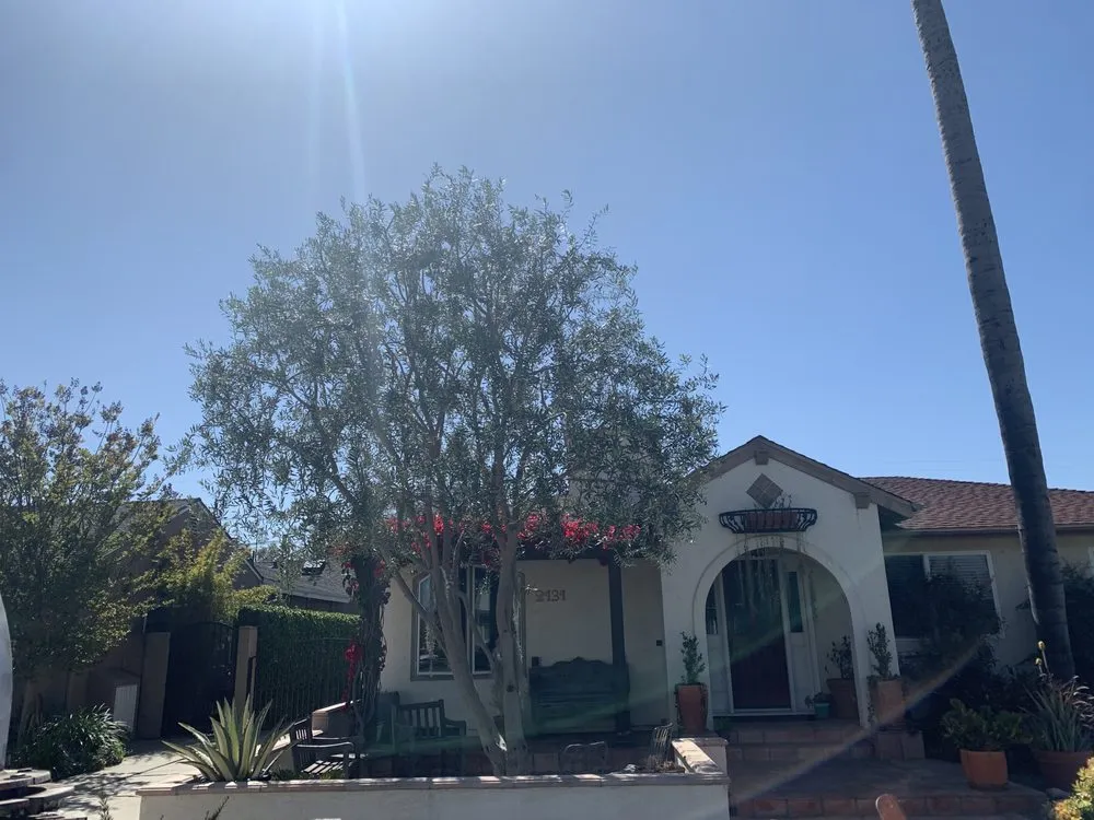 Professional landscape design in Long Beach, CA - Adrian's Tree Service